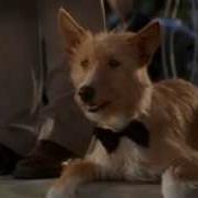 Фильм Зевс И Роксана