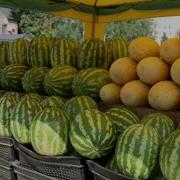 Tarbuz Harbuz Handala