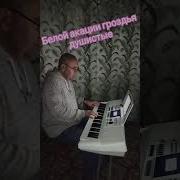 Белой Акации Синтезатор