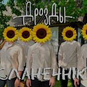 Сонечник Дрозды