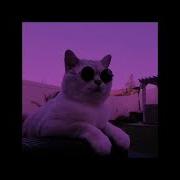 Eminem Superman Sped Up