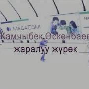 Жаралуу Журок