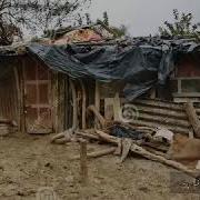 Саъдиё Шерозиё