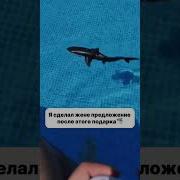 Img 202606