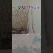 ديوث جزائري