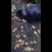 Слава Украине Аааа
