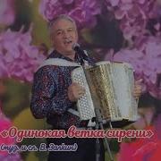 Одинокая Ветка Сирени Семин