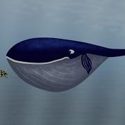 Whale