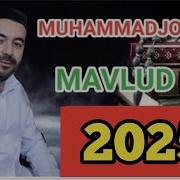 Мавлуд Набий