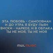 Amirchik Эта Любовь Минус