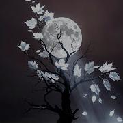 Assemsailou Никогда Не Теряй Надежду