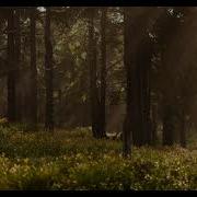 Аудиокнига Проклятый Род