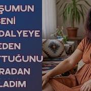 Sex Hikayeleri Dinle