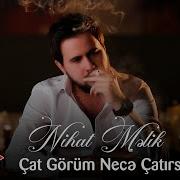 Cat Gore Nece Catirsan