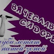 Слава Сидоренко Голуби