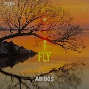 Fly Ab Bos