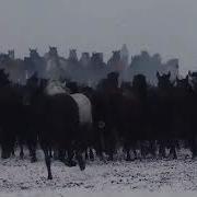 Аттың Дүбірі