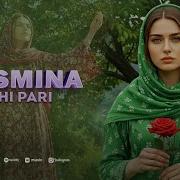 Суруди Нави Тоҷики