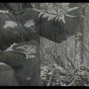 Дилеки Таърихро Бардошт