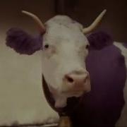 Milka Реклама 2016