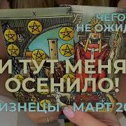 Близнецы