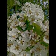 Редко Говорил Тебя Люблю