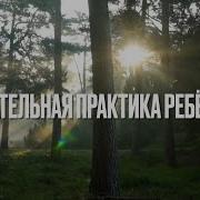 Ребефинг Практика