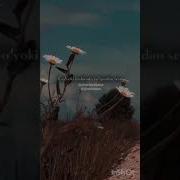 Bugun Tushimga Kiribsan Yoqlab