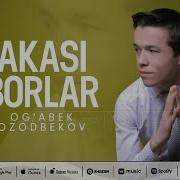 Акаси Борлар