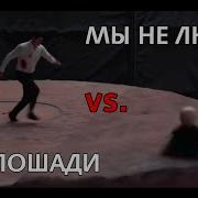 Мы Не Лошади Мы Луди