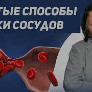 Советы Профессора