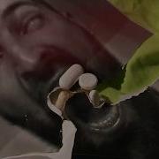 Moby Dick Terapia
