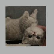 Кто То Еще Speed Up