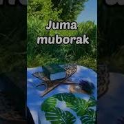 Джума Мубарак Juma Mubarak