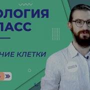 Биология 5 Класс 7 Параграф