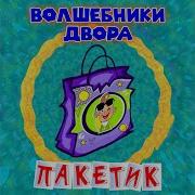 Волшебники Двора Пакетик