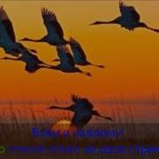 Всем И Каждому Минус