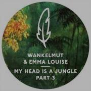 My Head Is A Jungle Remix