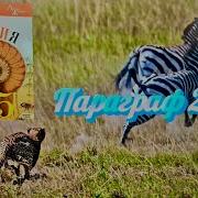 Параграф 22 Биология 5 Класс