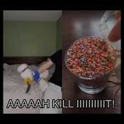 Donald Duck Screaming Part 2