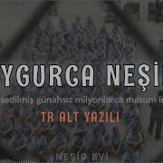 Uygurca Neşid