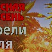 Канапляные Поля