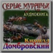 Домбровский Кирилл Серые Муравьи