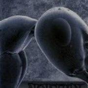 Х Хард Ми Фэст