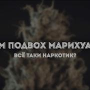 Марихуана