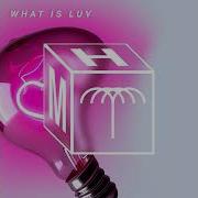 Rafael Mita Gami What Is Luv