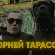 Корней Тарасов
