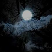 Пьяный Вечер