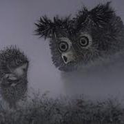 Ёжик В Тумане Фраза