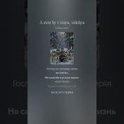 Бессоный Ночи Саня Саныч